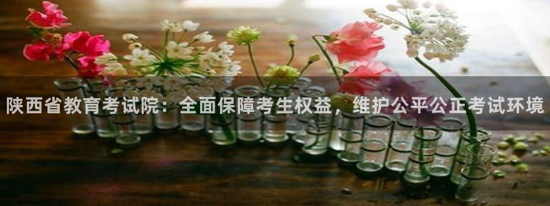 安信卓越12月