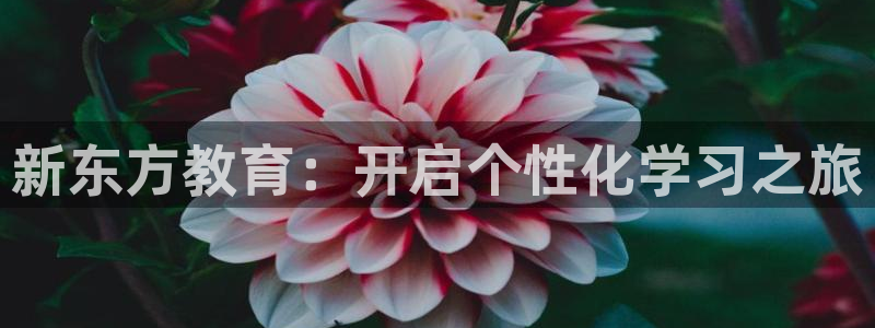 安信12位资金账号