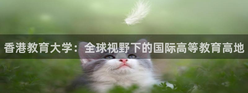 安信12包赔