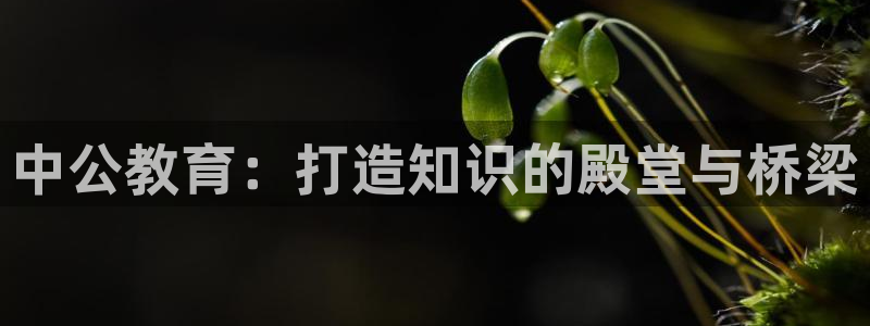 安信cw12系列