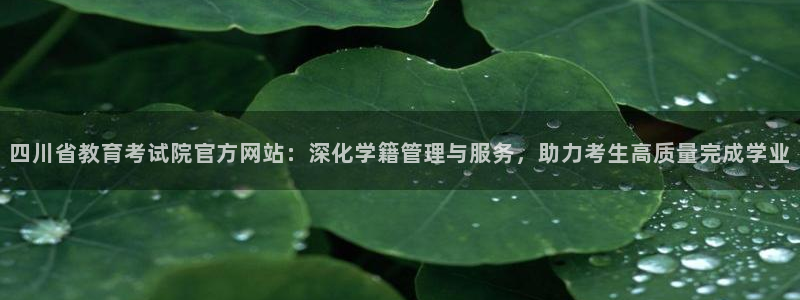 安信4娱乐去55 12