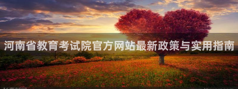 安信312 12
