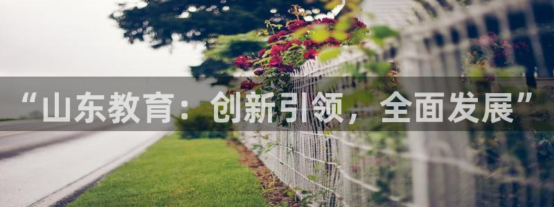安信可12f