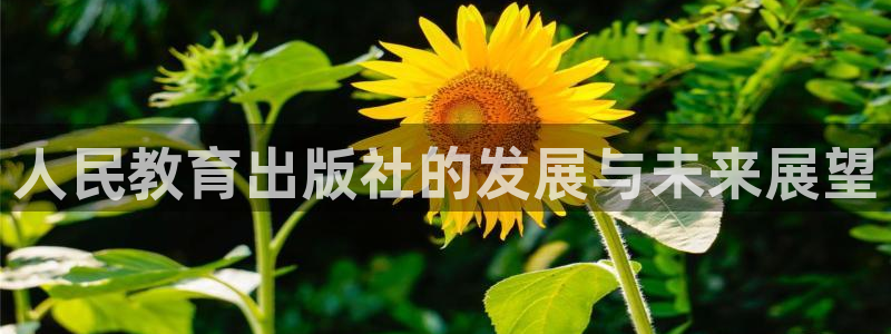 安信可f12