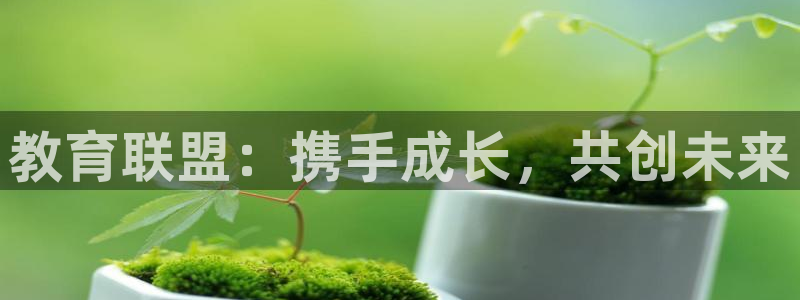安信12官网qq