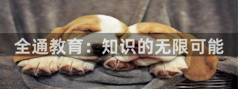 安信12招商