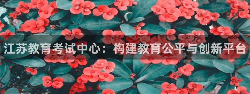安信可wb12