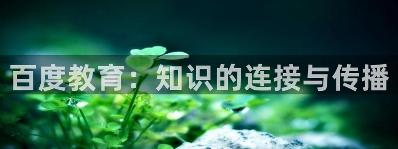 信安12乐打棒