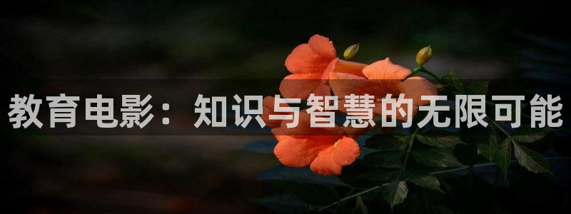 安信4娱乐去55 12
