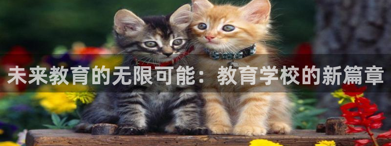 安信12娱乐