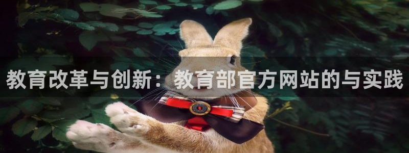 安信12是什么