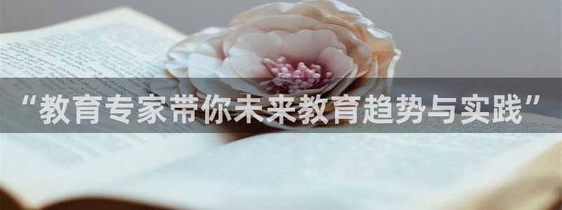 安信12级大众