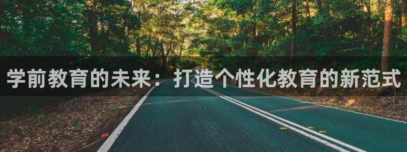 安信312 12
