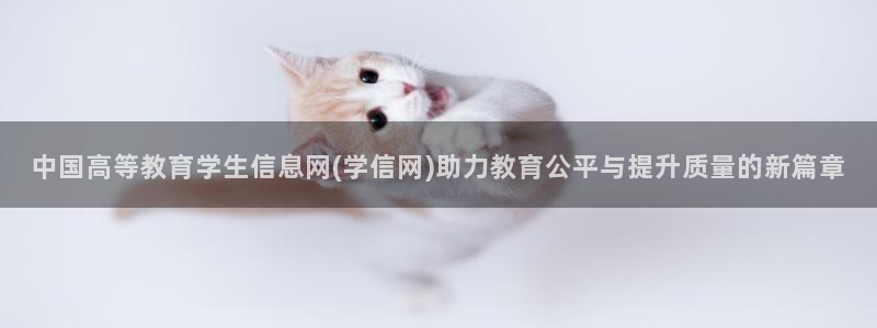 安信4特邀55 12