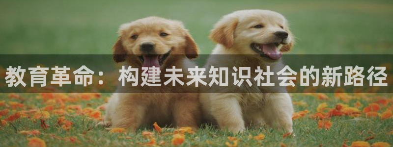安信招商rk金12手12指jc