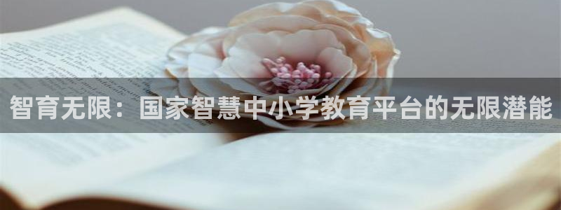 安信4特邀55 12