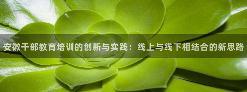 安信安盈12最新消息