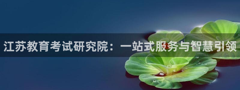 安信12位资金账号