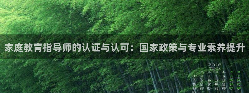 安信12负责人