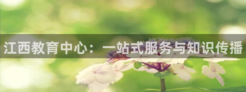 安信esp12k