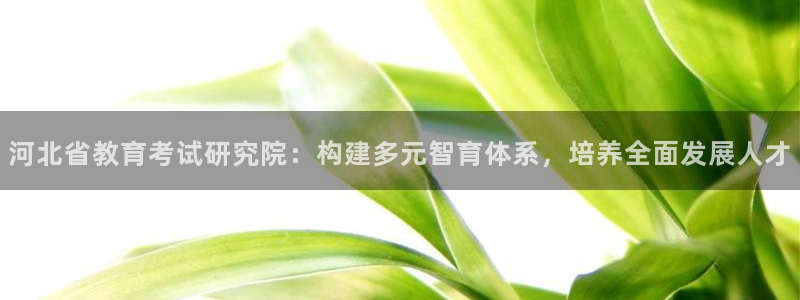 安信12是什么