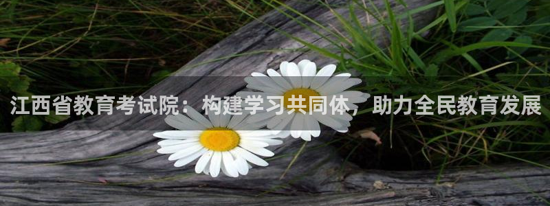 安信12想开户