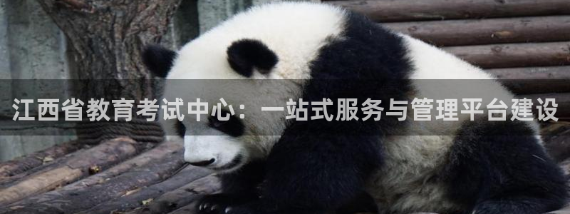安信12是正轨网站吗