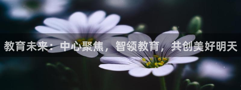 安立信T12测评