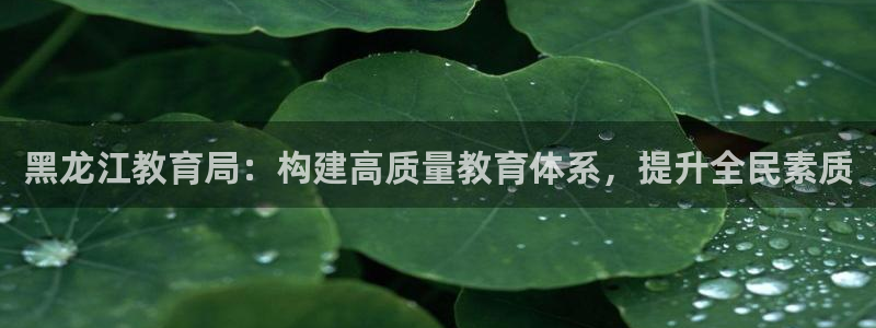 安信安翼 12账号