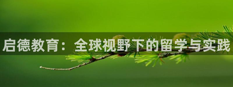 安信12如何开代理