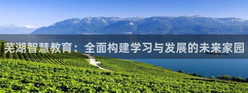 安信12月金股