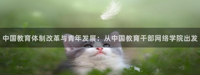 安信12主管