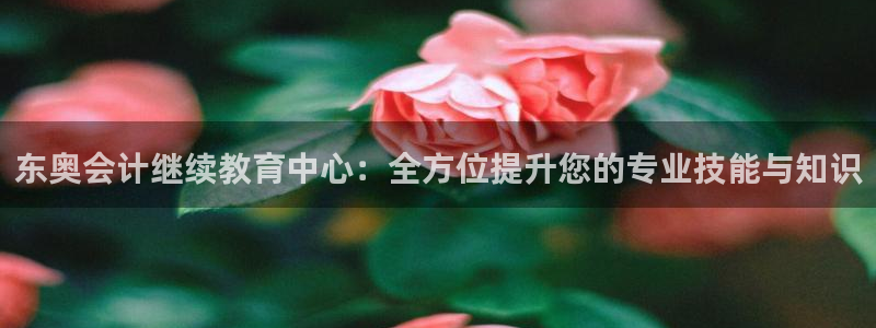 安信12下载