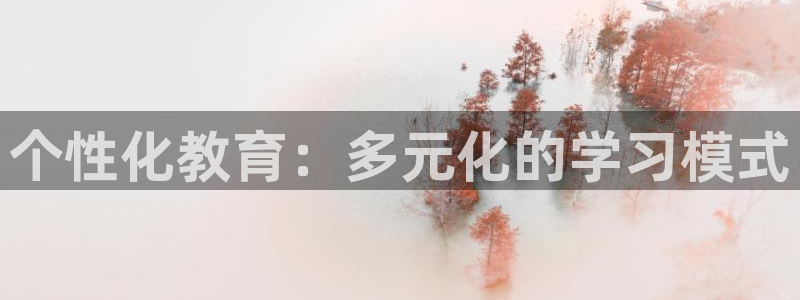 安信12是什么平台