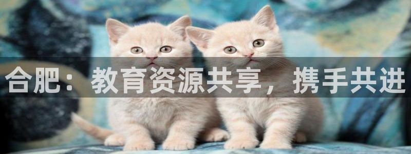 安信12是正轨网站吗