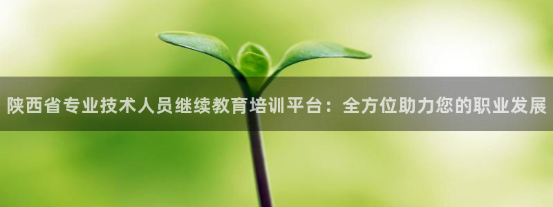 安信12想开户