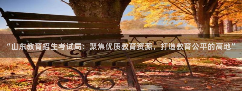 安信安翼 12账号