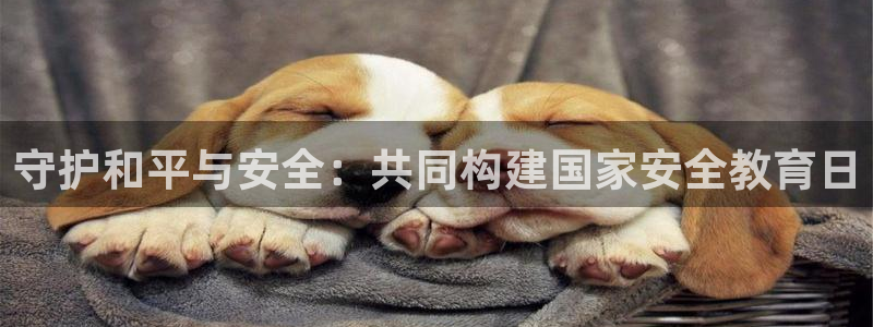 安信12软件介绍