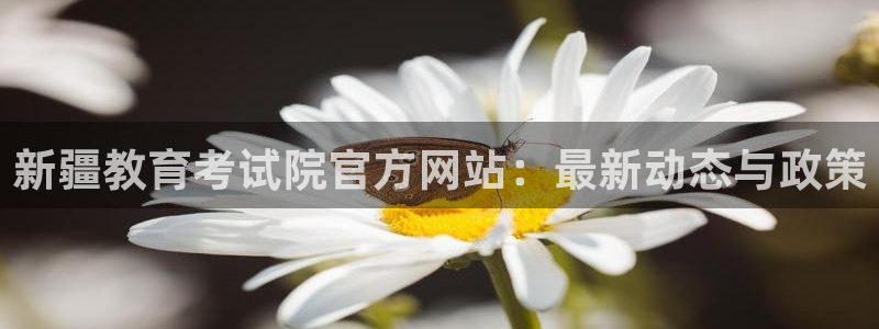 安信4特邀55 12