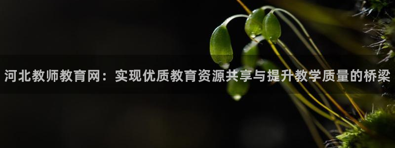 安信12级粉丝团福利