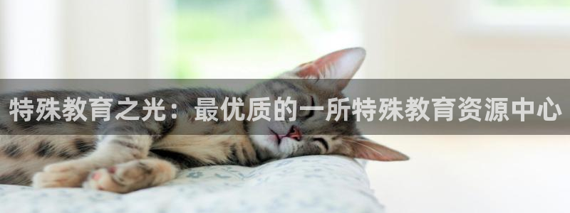 安信12平台的网址