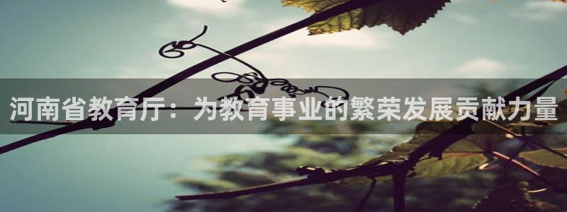 安信12如何开代理