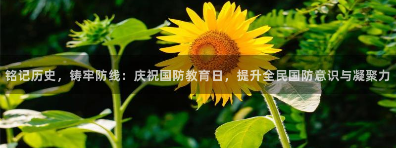 安信12赛车