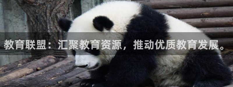 安信12如何开代理