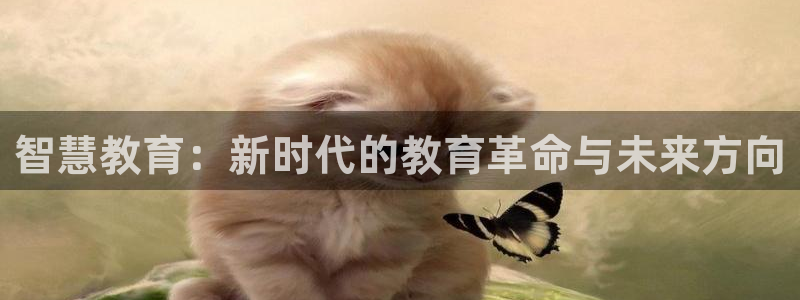 安信12包赔