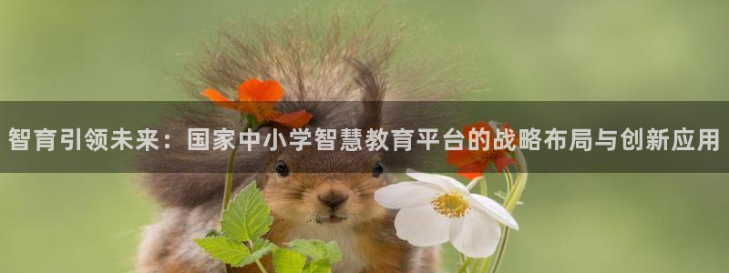 安信cwa12