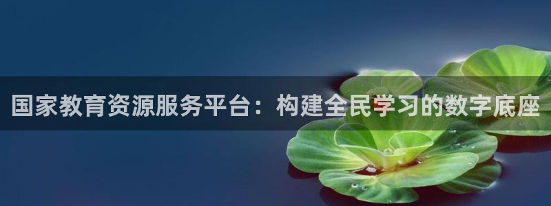 安信12专用挂机