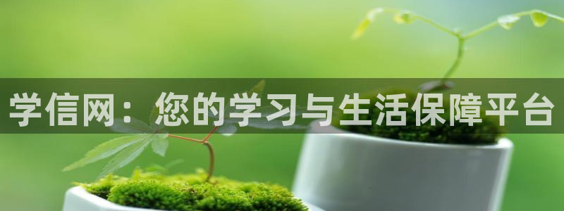 安信12平台