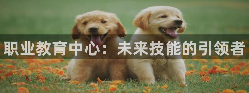 安信12平台最新消息