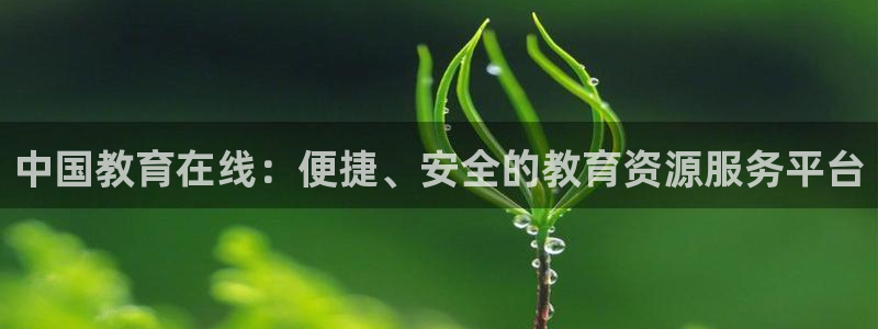 安信12级